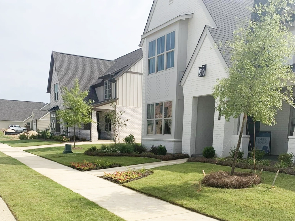 Lawn Maintenance