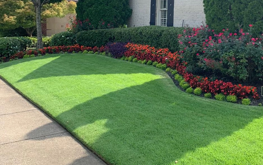 Schroeter's Lawn & Landscape
